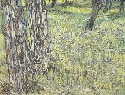 Vincent Van Gogh Pine Trees and Dandelions in the Garden of Saint-Paul Hospital (nn04) oil
